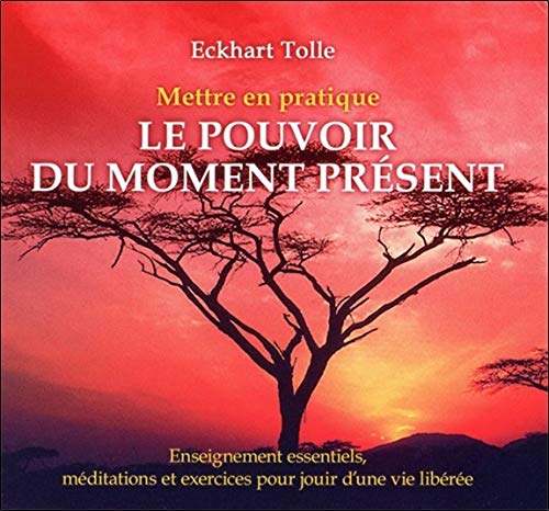 Mettre En Pratique Le Pouvoir Du Moment Present Livre Audio Cd French Edition Eckhart Tolle 9782896678969 Amazon Com Books