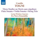 THREE STUDIES ON MORT SANS SEPULTURE / FLUTE       image