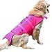 Queenmore Dog Life Jacket Ripstop Shark Dog Safety Vest Adjustable Preserver with High Buoyancy and Durable Rescue Handle for Small,Medium,Large Dogs, Pink Fish Large