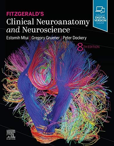 Amazon.com: Clinical Neuroanatomy, 30th Edition: 9781264583621