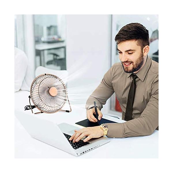 EasyAcc USB Desk Fan 6 Inch Desktop Silent Fan Air Circulator 2 Speeds 360° Rotation Brushless Motor Noiseless for Home…