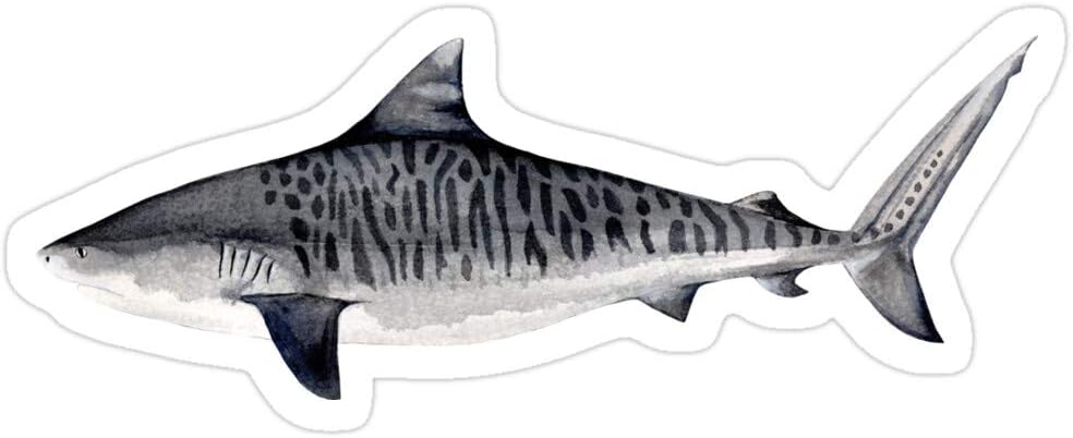 Vijk kor Tiger Shark/Tiger Shark Stickers (3 Pcs/Pack)