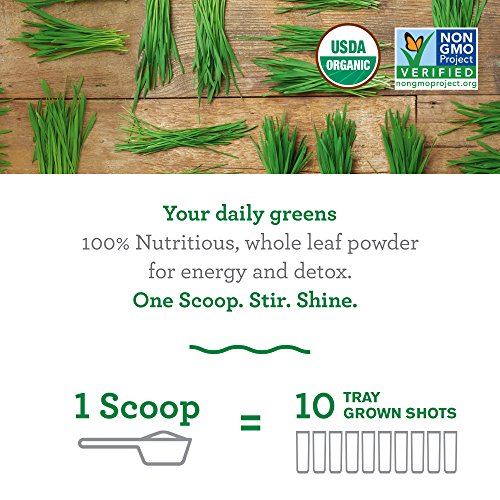 Amazing Grass Organic Wheat Grass Powder 60 Servings 17oz Greens Detox