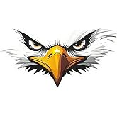 2 pcs Staring Eagle Eyes and Face Design Pattern Funny Car Bumper Sticker,5 Inch Vinyl Decal, Waterproof,Die-Cut for Cars,Windows,Laptops M-14