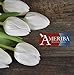 30PC Biodegradable Remembrance Balloons: White & Silver Personalizable Funeral Balloons for Balloon Releases & Sympathy Gifts | Created/Sold by AMERIBA, a USA company (Variety Pk White, Black Writing)