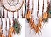 LanMa Dream Catcher (25.6