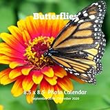 Butterflies 8.5 X 8.5 Photo Calendar September 2019 -December 2020: Monthly Calendar with U.S./UK/ C by Lynne Book Press