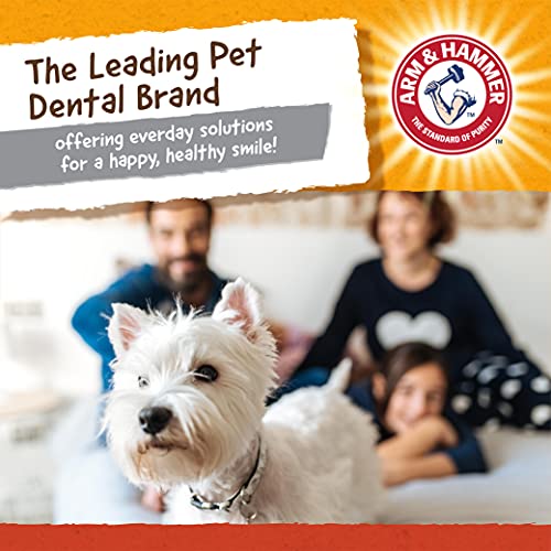 Arm & Hammer for Pets Super Treadz Mini Gorilla Dental Chew Toy for