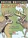 Hunting Whitetails East & West (Hunting & Shooting) by Wayne J. Fears, Larry L. Weishuhn