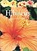 Hibiscus by Jacqueline Walker, Gil Hanly