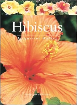Hibiscus, by Jacqueline Walker