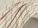 Yacht Braid Premium Polyester Rope 3/8 inch, White/Red