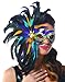Multi Color Mardi Gras Feather Mask