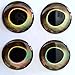 RAH 3-D Hard Epoxy Eyes (60 Pack) Fly Tying Lures Crafts Available in 4 Colors & 7 Sizes (Earth, 3 mm)