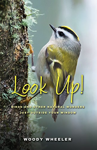 Look Up!: Birds and Other Natural Wonders Just Outside Your Window by Woody Wheeler