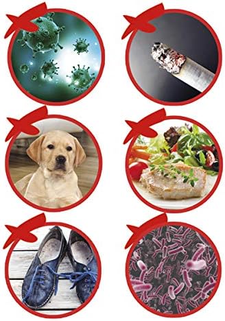PURIPOD Air Purifier for home hepa filter Mini Air Cleaner, Clean & Fresh Air, Against Pollen, Dust, Allergens, Smoke - Image 5