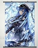 Akame ga Kill Anime Home Decor Wall Scroll Poster Fabric Painting Janpan Art Cosplay Esdeath 23.6 x 35.4 Inches-051[A]