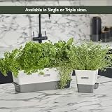 Cole & Mason Self-Watering Herb Keeper Plastic White Grey 3 Pots 85mm view 10