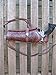 Shotgun Lilli Gun Belt - Leather - 22 Caliber - Burgundy Color with 6