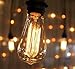 Vintage Edison Bulb KINGSO Dimmable 40W Edison Light Bulb Squirrel Cage Filament Incandescent Antique Light Bulb E27 E26 Base ST64 110V - 4 Pack