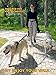 Pet Dreamland Exquisite Hands Free Double Dog Leash for Two Dogs with Tangle-Free Swivel. Premium Quality & Versatile for Running. You Will Absolutely Love This Amazing Waist Leash (Khaki & Orange)