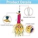 kathson Chicken Toys for Hens, Natural Colorful Loofah Shredder Toy and Foraging Shredding Hanging Toy Ideal for Chook and Medium Parrots Parakeets Budgies(2 Packed)thumb 2