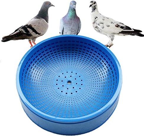 Landslide Pigeon Egg Basin Nest Plastic blue Birds Eggs Nest