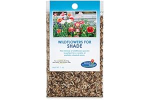BEAUTY BEYOND BELIEF WILDFLOWER SEEDS Partial Shade Wildflower Seeds -1 oz, Open-Pollinated Wildflower Seed Mix Packet, No Fillers, Annual, Perennial Wildflower Seeds Year Round Planting - 1 oz