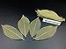 NAVA CHIANGMAI Rubber Tree Leaves - Pack of 100 Skeleton Leaves Decorative DIY Craft , Artificial Leaves Craft Card Scrapbook DIY Handmade Embellishment Decoration Art (Gold)