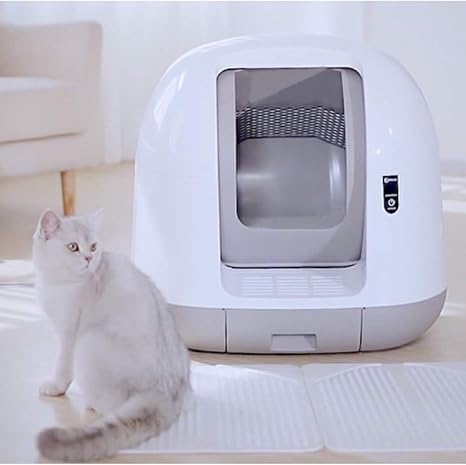 amazon cat toilet,www.hotelsobrado.com