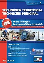 Technicien territorial, technicien principal