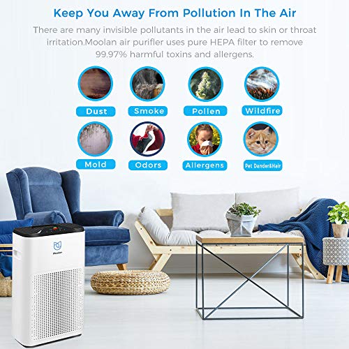 Moolan Air Purifier for Home True HEPA Filter,Smokers and Pets Hair