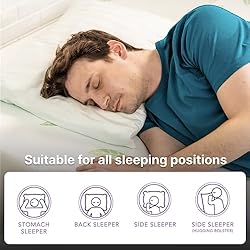 NapQueen Twin XL Size Mattress, 10 Inch Anula Green