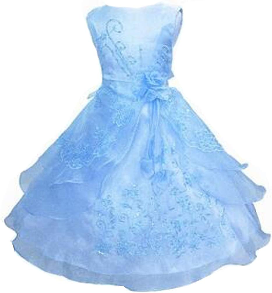 Shiny Toddler Little/Big Girls Embroidered Beaded Flower Girl Birthday Party Easter Dress Princess Dress with Petticoat