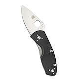 Spyderco Ambitious Value Knife with 2.31" Stainless