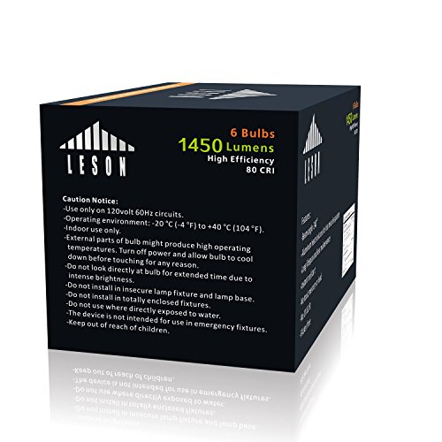 Leson 100 Watt Equivalent A19 Globe LED Light Bulb Standard E26/E27 Base 13W Energy Saving, Soft/Warm White 2700K (6 Pack)