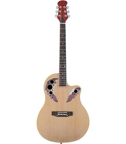 Amazon.com: IYV ISC-300 Hollow Body Semi Acoustic Guitar