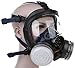 Organic Vapor Respirator full face gas mask with Double Activated Carbon Air Filter (Black)