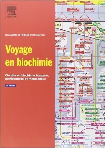 Httpfsopdfnscfnodesles Heures Nouvelles 1re Annee N2 - 