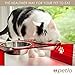 Petlo Raised Pet Feeder Bowls - Elevated Red Acrylic Feeding Stand with Two Stainless Steel Food and Water Bowls for Dogs and Cats