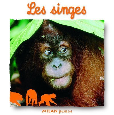 A Quatre Pattes: Les Singes (French Edition) by (Album)