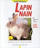 Image de Le lapin nain