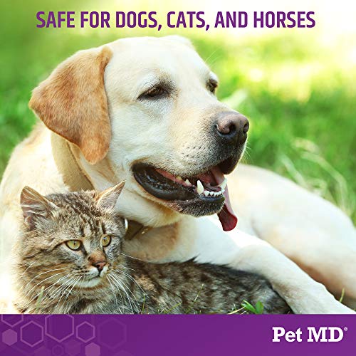 Pet MD MicosebCX Medicated Shampoo for Dogs, Cats, Horses with