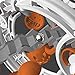 Perplexus Perplexus Warp