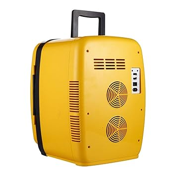 XQY Nevera para automóvil - Mini nevera Nevera refrigerada ...