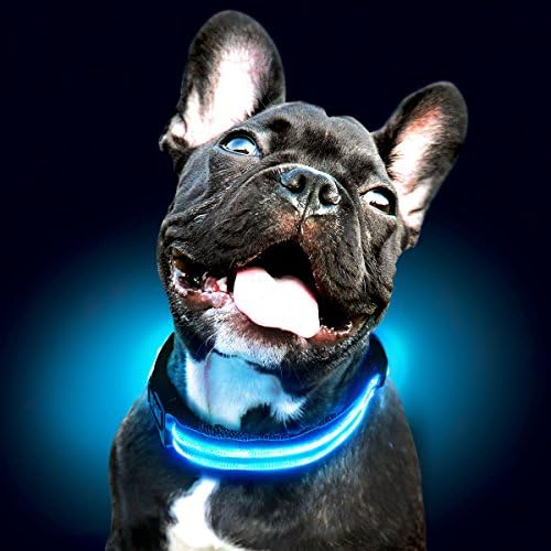 Shine for Dogs Ultimate LED Collar - Rechargeable - 7X Colors Plus Rainbow Disco Collar - Ultra Bright, Weatherproof, Durable - Made to Last. Illuminate Your Dog, Shine Bright - Be Safe.