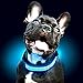 Ultimate LED Dog Collar – USB Rechargeable, Cable Included, 5 Awesome Colors. Ultra Bright, Durable, Made to Last. Make Your Dog More Visible at Night. (Medium Blue)