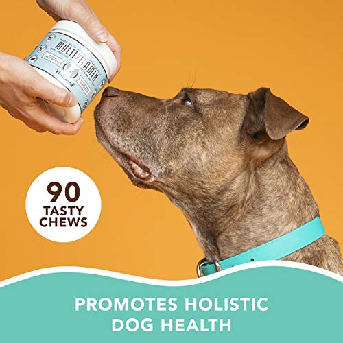 Natural-Dog-Company-Multivitamin-Supplement-with-Turmeric-and-Fish-Oil-35-Essential-Vitamins-Nutrients-Immune-System-Skin-Coat-and-Hip-Joint-Support-Duck-Sweet-Potato-Flavor-90-Chews
