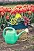 Bloem Classic JW Watering Can, 2 Gallon, Union Red (JW82-12)