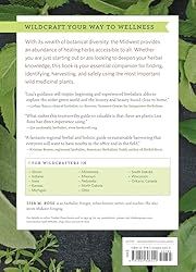 Midwest Medicinal Plants: Identify, Harvest, and